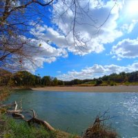 Кубань речка лес весной :: Слава Коломойцев