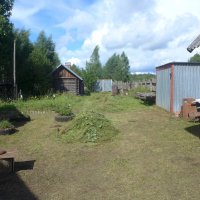 Двор в деревне. :: Михаил Елочкин