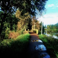 Летний вечер :: Сергей Кочнев