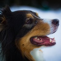 "Фантом" :: Артём Евтюхов