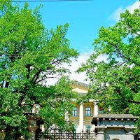 ПИТЕР. :: Виктор Осипчук