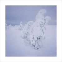 * :: Александр Иванов