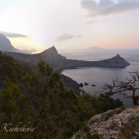Природа Крыма :: Amazing Cosmea