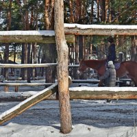 У всех своё хобби :: Alexandеr P