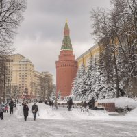 Александровский сад. :: Николай 