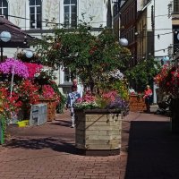 Городские цветочки .. :: Татьян@ Ивановна