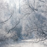 *** :: Владимир Безбородов