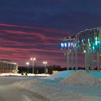 Зимнее утро :: Ольга 