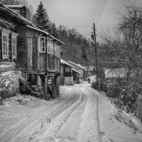 Первый  снег. :: Владимир Гришин
