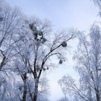 Морозное дыхание зимы :: Рита Симонова