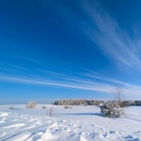 Весенние нотки :: Анастасия Логинова