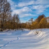 Широкая Масленица, утро 2 :: Андрей Дворников