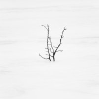 минимализм :: Игорь Чичиль