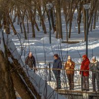 Прогулки в Зимнем Парке :: юрий поляков