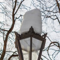 Парк "Кусково". Февраль. :: Борис Калитенко