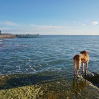 Ожидание :: Nataly St. 