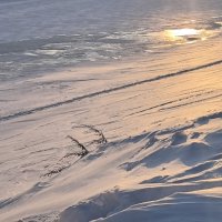 ***снежно*** :: Olga Oskolkova