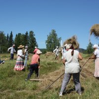 СЕНОКОС :: Tata Wolf