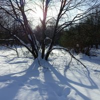 С мыслями уже о весне :: Андрей Лукьянов С мыслями уже о весне :: Андрей Лукьянов