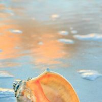 Память о Жизни... :: Валерий Кокорев