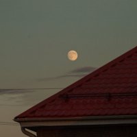 *** :: Дмитрий Костоусов