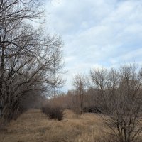 День осени :: Андрей Хлопонин День осени :: Андрей Хлопонин