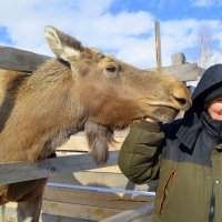 Доверие и любовь :: Татьяна Лютаева
