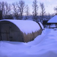 Засыпало всю теплицу :: Людмила Смородинская