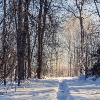 Тропинка к свету. :: Николай Тропинка к свету. :: Николай