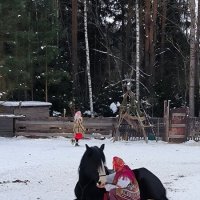 Четвероногие артисты. :: Ольга 