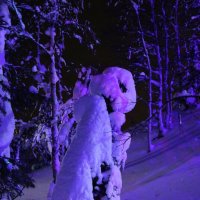 Тайны Таинственного леса :: Ольга 