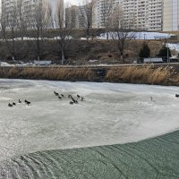 Ростовские зарисовки :: Александр Гапоненко