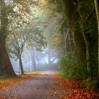 Последний день октября :: Юрий. Шмаков