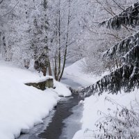 Заснеженный парк :: Рита Симонова Заснеженный парк :: Рита Симонова