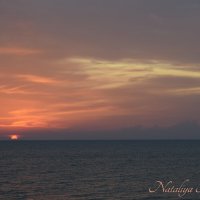 Природа Крыма :: Amazing Cosmea Природа Крыма :: Amazing Cosmea