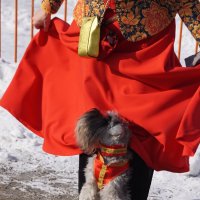 Выступление :: Наталия Григорьева