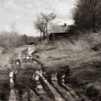 Фотография :: Денис Безногов