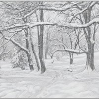 *** :: Aleksey Afonin *** :: Aleksey Afonin