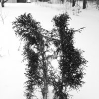 Мечты о ч/б Лейке 7. :: Михаил Елочкин Мечты о ч/б Лейке 7. :: Михаил Елочкин