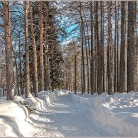 Февральские тени :: Aquarius - Сергей