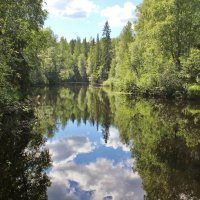 Озеро Светлое :: Владимир Соколов (svladmir)