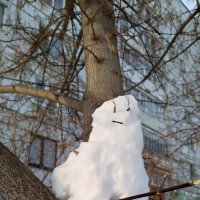 Неожиданно :: светлана льдокова Неожиданно :: светлана льдокова