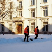 Труженики двора :: Ольга Довженко