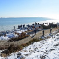 Берег Каспия :: Анатолий Чикчирный