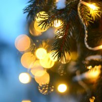 ...ещё вчера.. :: Георгий Никонов