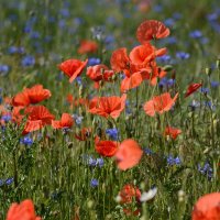 Воспоминания о прошедшем .... :: Sergey (Apg) Воспоминания о прошедшем .... :: Sergey (Apg)