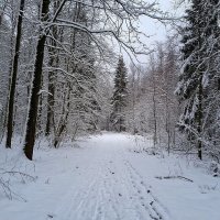 февраль. конец зимы. :: Mila 