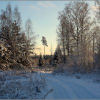 Дорога зимняя :: Aleksandr Gal