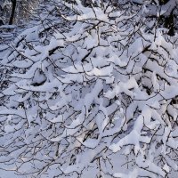 Волшебная зимняя пора :: Рита Симонова Волшебная зимняя пора :: Рита Симонова