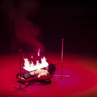 Мой ЦИРК :: Владимир Максимов